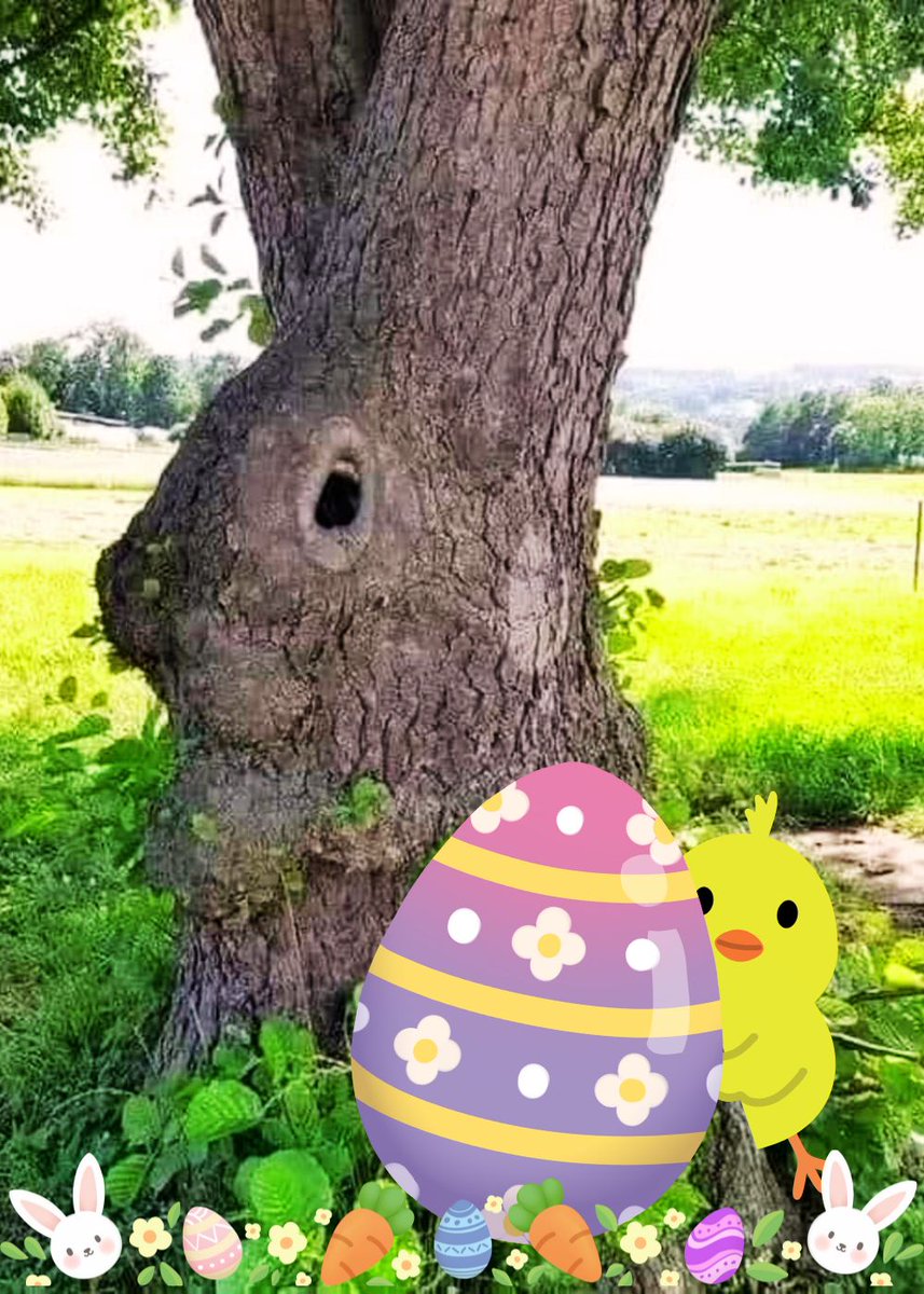 Wishing you and your loved ones a very Happy Easter - filled with love and happiness!

from CalmCado
youtube.com/@calmcado