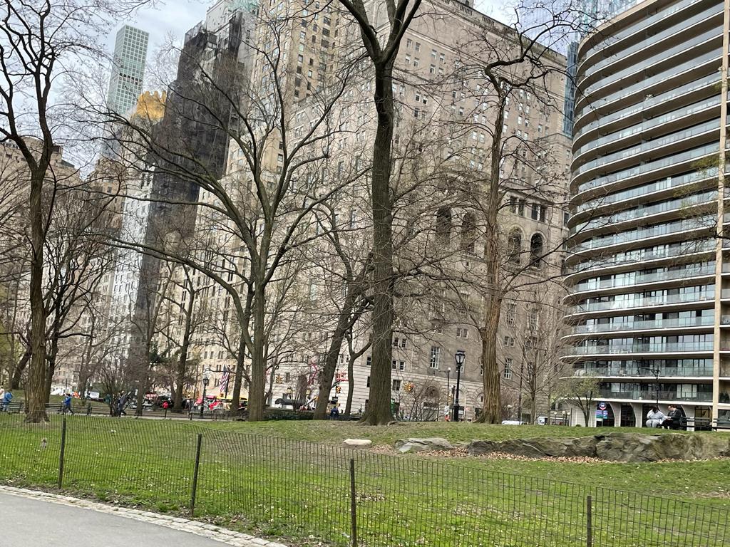 pugcalledMelvin's tweet photo. Some photos from yesterday in NYC https://t.co/ahZwSFs9Jx