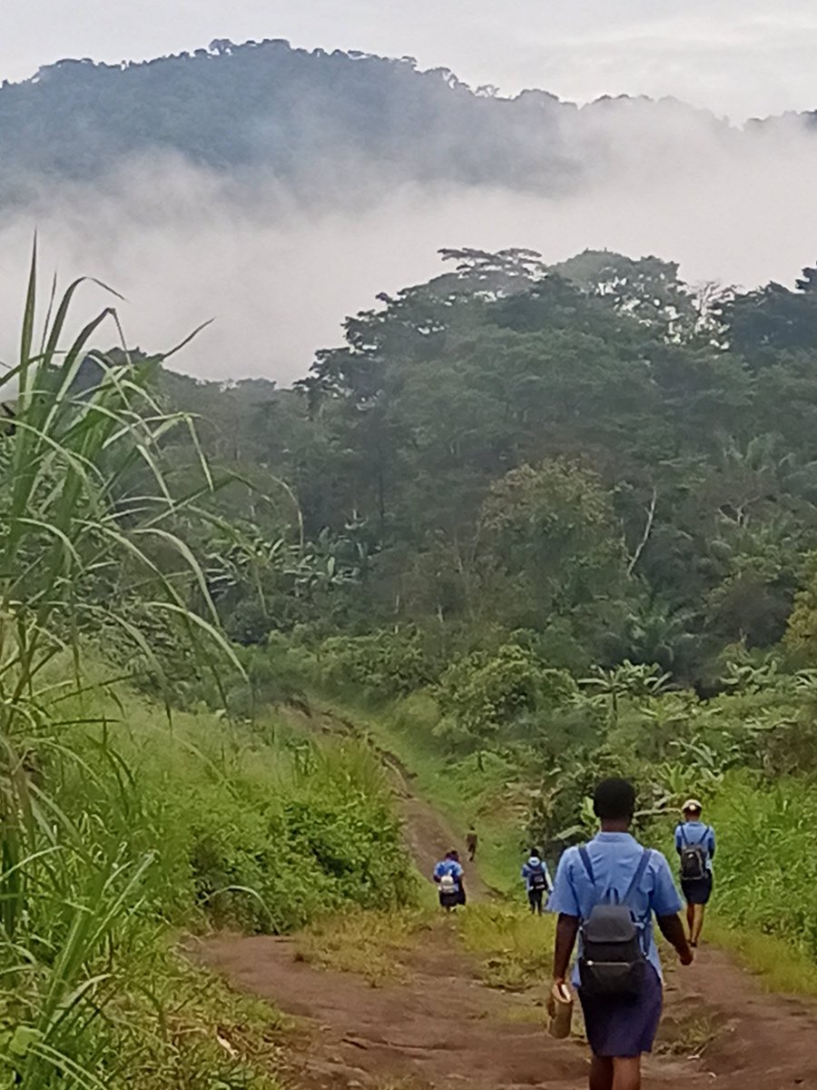 The Amazon and Congo basin are  key defense mechanism against climate change because of their rich biodiversity and carbon storage potentials.Protecting them not only safeguards our planet,it also ensures the future of indigenous communities and wildlife.