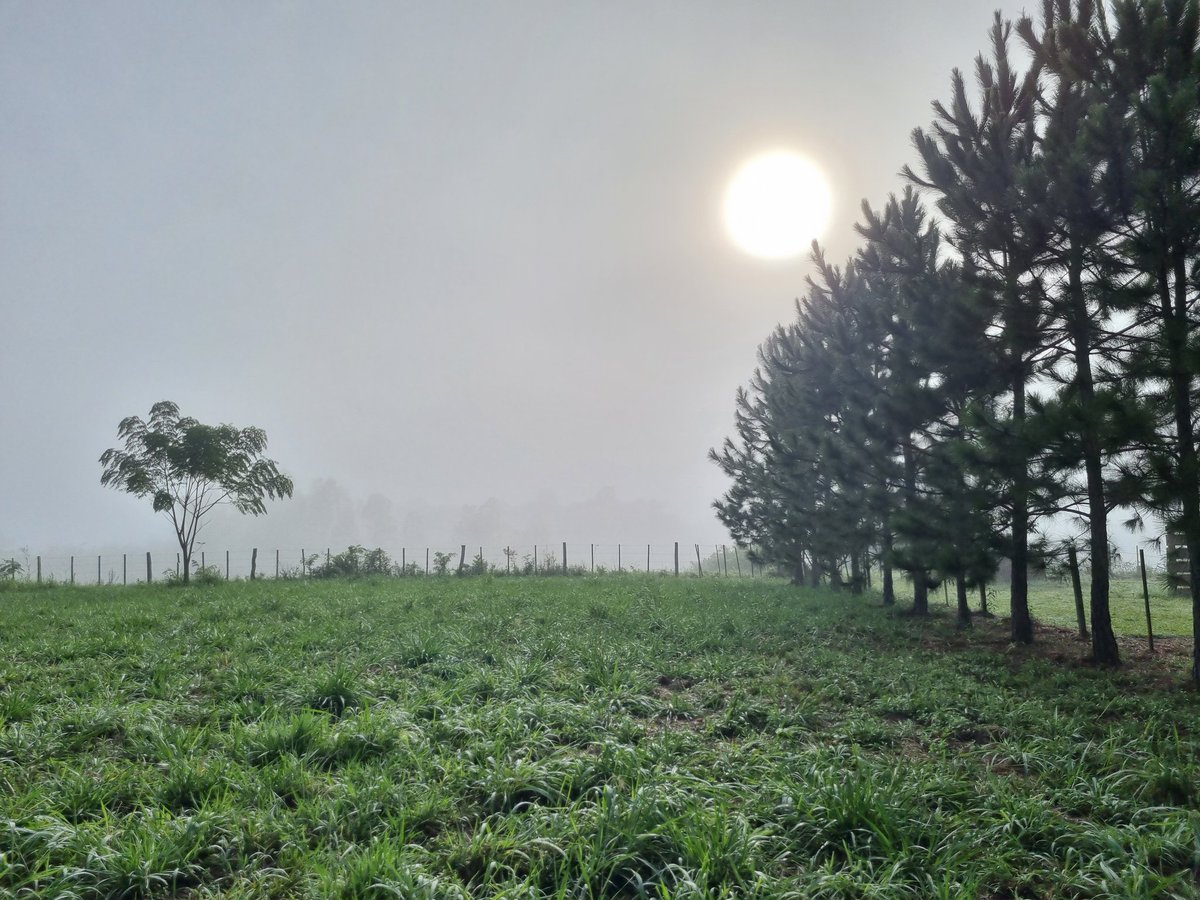 colonianeufeld (@colonianeufeld) on Twitter photo 