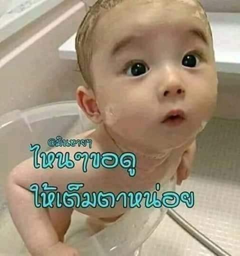 dng65586426's tweet photo. @thewan1949 https://t.co/wixRf3pz50
