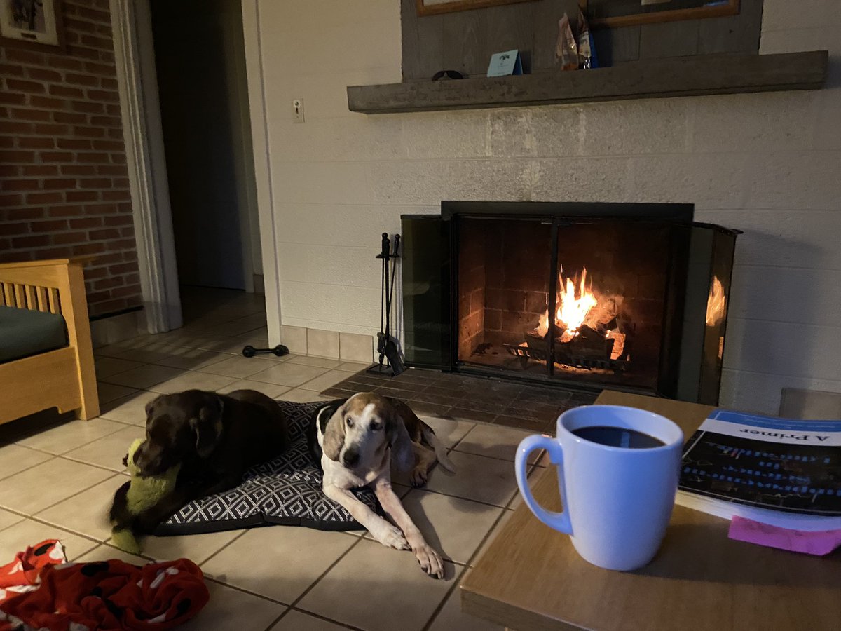 BettyMayers2's tweet photo. Many head to the beach spring break - I head inward :) A balmy 39 degrees in the New River Valley this morning! Grateful for this quiet time to read, reflect, and disconnect a bit #lakelife #playiswork #forgotmylaptop https://t.co/OPI5CGlR7m
