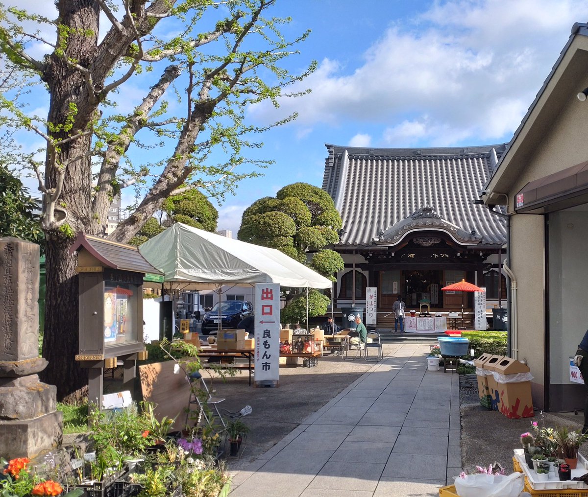 大森 梅屋敷 大林寺の良もん市。おかげ様で多くのお客様にお越しいただきました。誠にありがとうございました。 次回は12月です。 次も何か良い ...