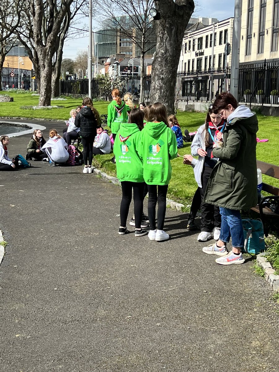 3rd Alloway Guides tweet media