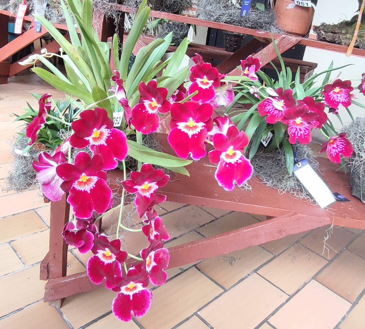 Juan Carlos Ponce Figueroa tweet media