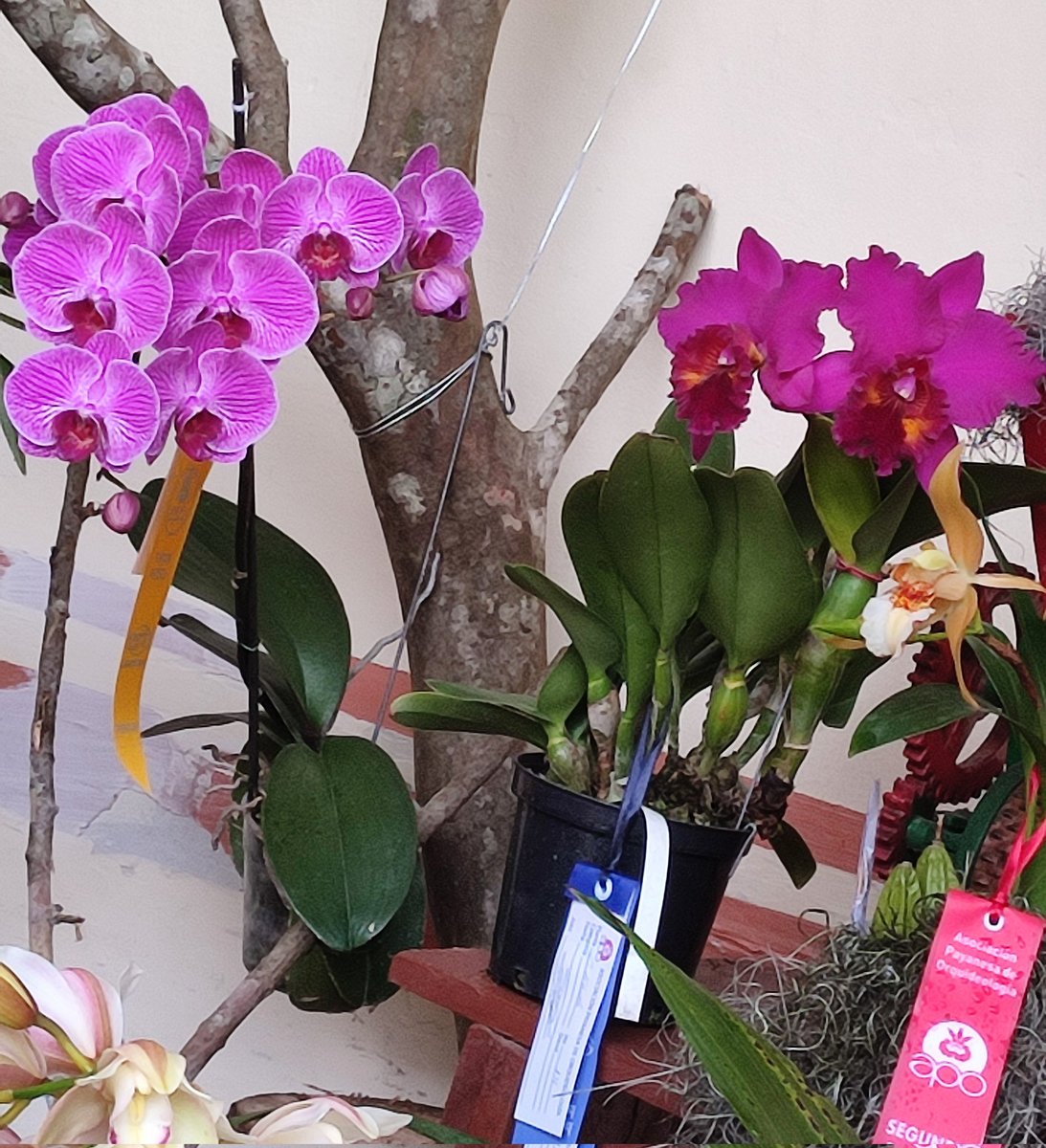 Juan Carlos Ponce Figueroa tweet media