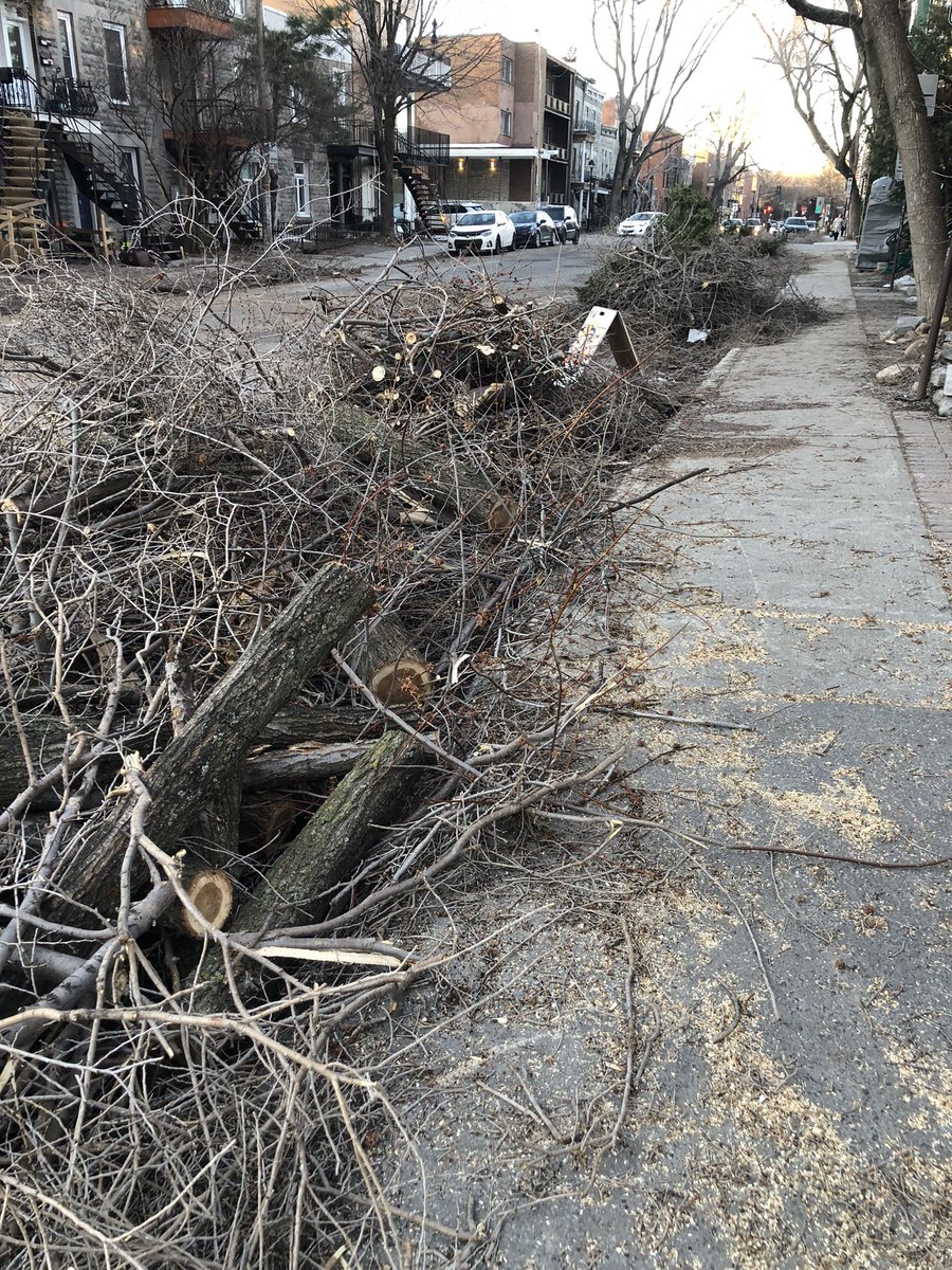 GenFiorin's tweet photo. Voici #Montréal après la tempête rue Gauthier sur @LePMR et au parc Lafontaine - 24h sans électricité merci @hydroquebec pour le rebranchement et @MTL_Ville pour le nettoyage Quand les câbles électriques enfouis? @LucRabouin @Val_Plante @JdeMontreal @LP_LaPresse @PatriceRoyTJ https://t.co/ir2JurGSXd