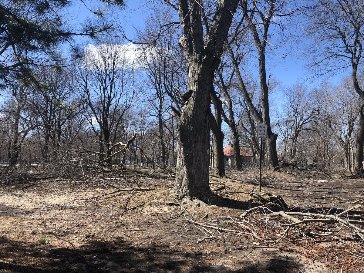GenFiorin's tweet photo. Voici #Montréal après la tempête rue Gauthier sur @LePMR et au parc Lafontaine - 24h sans électricité merci @hydroquebec pour le rebranchement et @MTL_Ville pour le nettoyage Quand les câbles électriques enfouis? @LucRabouin @Val_Plante @JdeMontreal @LP_LaPresse @PatriceRoyTJ https://t.co/ir2JurGSXd