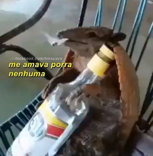 Shitpost só que de verdade (@shitpostverdade) on Twitter photo 