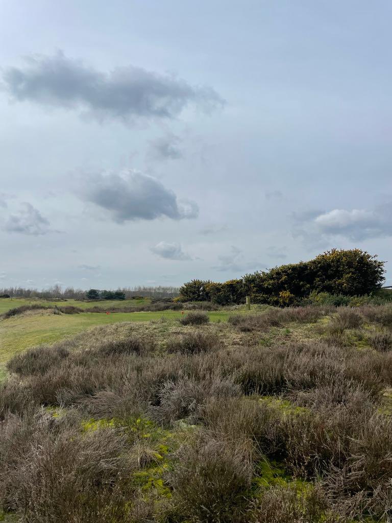 Laatste dag van de Voorjaarswedstrijd op <a href="/GolfStippelberg/">Golfbaan Stippelberg</a> ☀️ <a href="/NGF_/">NGF</a>