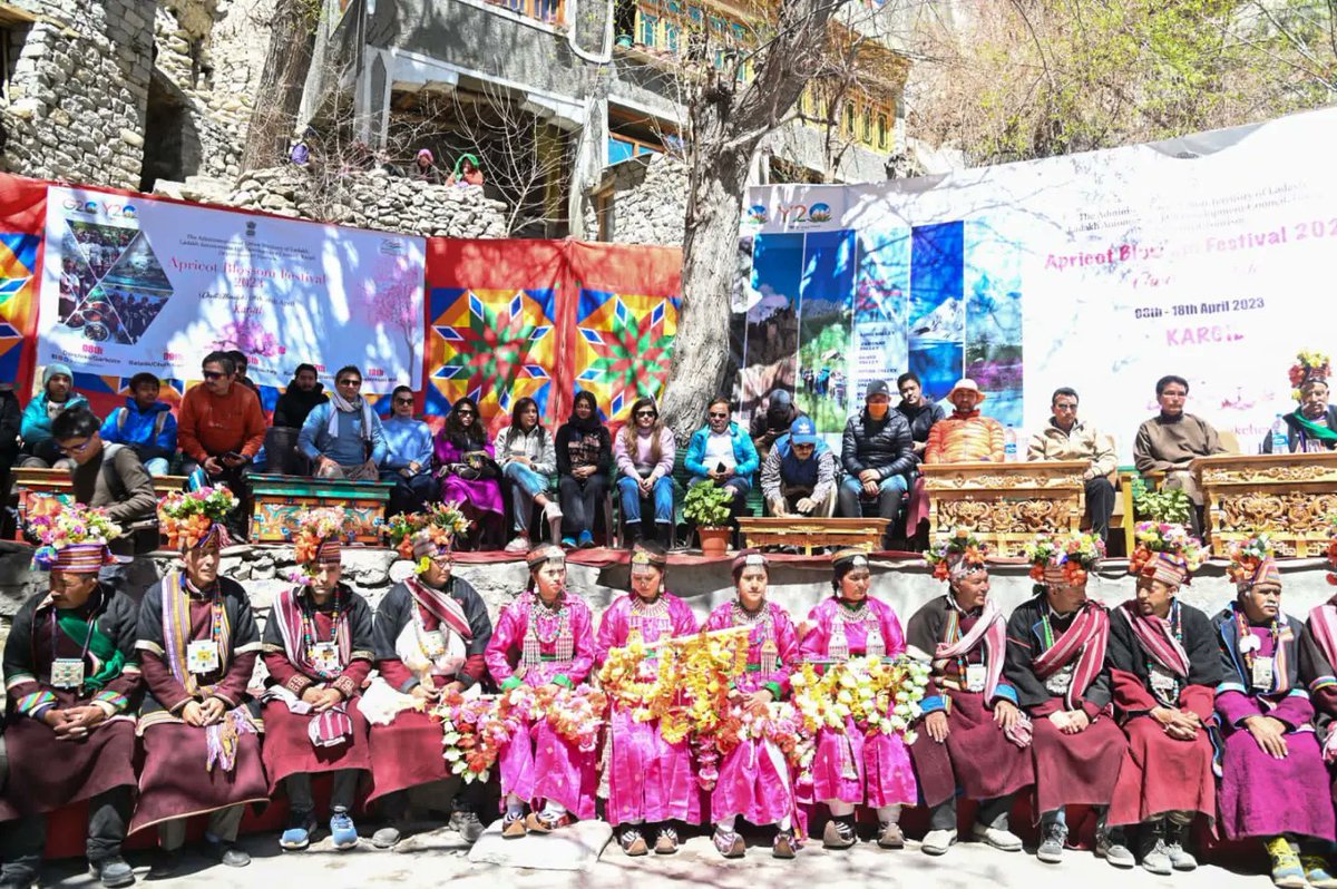 DIPR Kargil on Twitter "Visual Delight Apricot Blossom Festival 2023 begins at Garkone Kargil