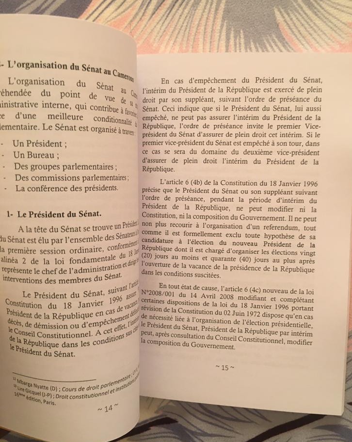 EffaJanvier's tweet photo. L'effectivité du transfert des compétences et des ressources, l'accroissement de la Dotation Générale et la mise en place de la fonction publique territoriale sont entre autres, les grands défis qui attendent les sénateurs de la 3ième législature et contenus dans notre essai. https://t.co/Igx0qy7xRy