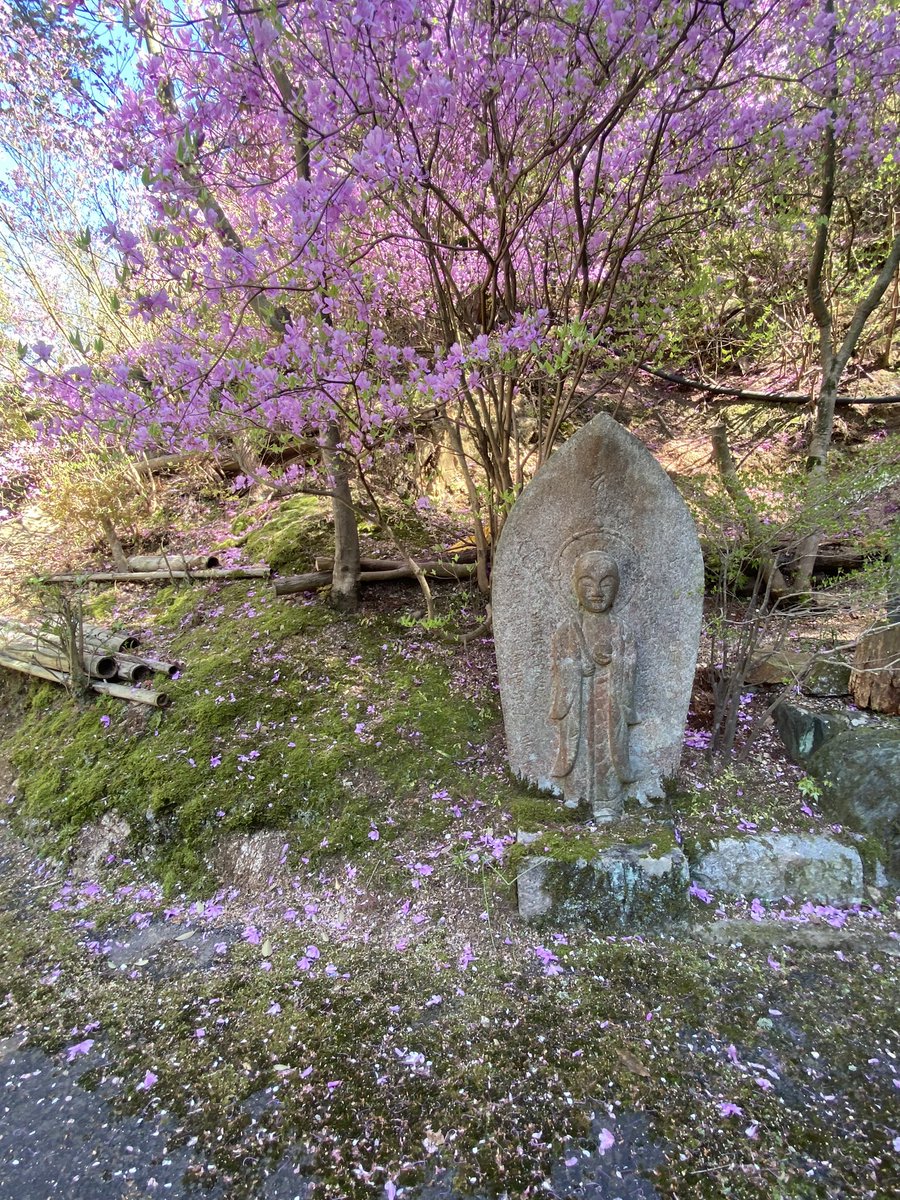 415cALY's tweet photo. Happy Birthday to the Buddha 🌼🙏🫶🏽 https://t.co/XIKLzk7QkX