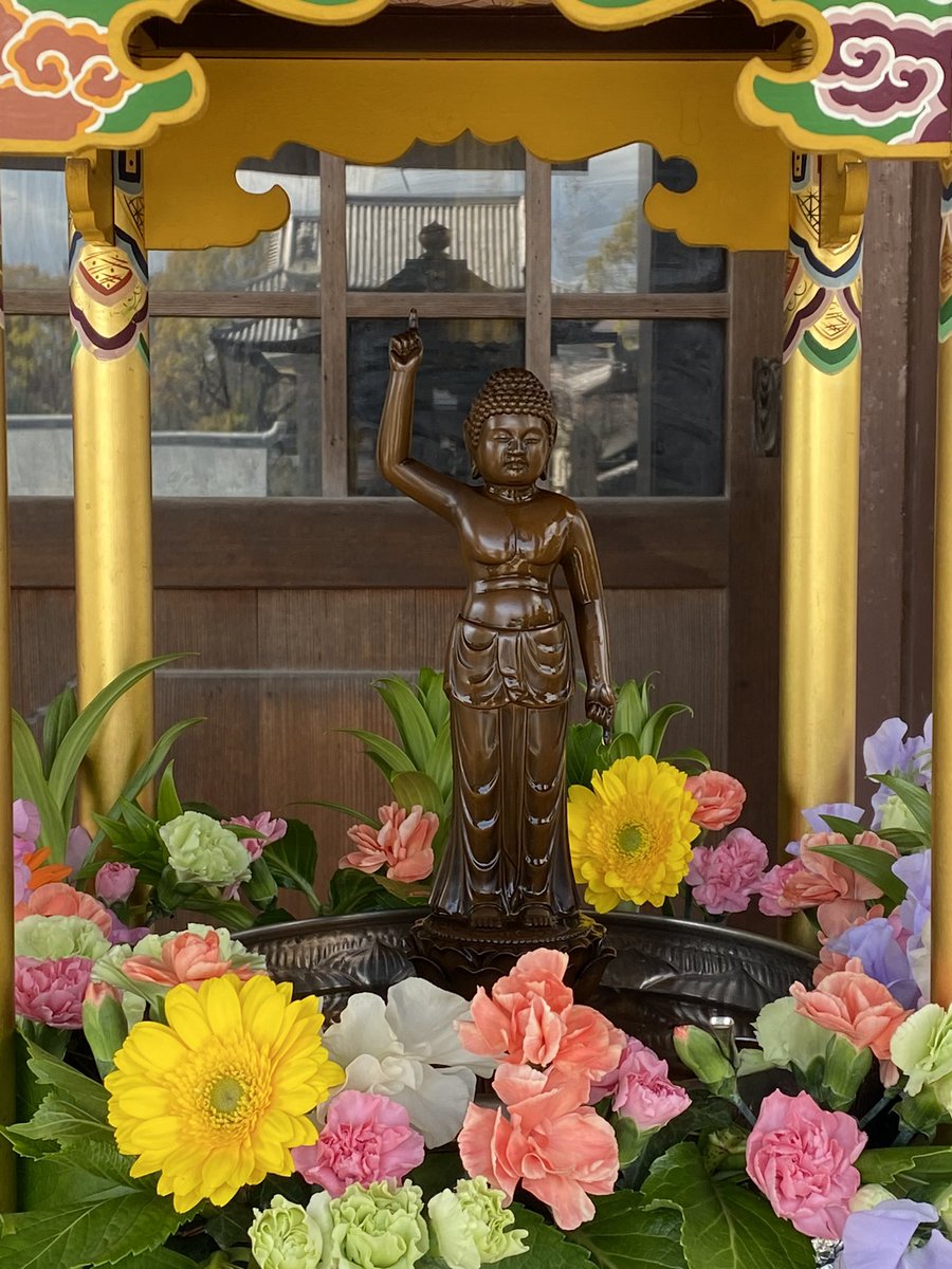 415cALY's tweet photo. Happy Birthday to the Buddha 🌼🙏🫶🏽 https://t.co/XIKLzk7QkX