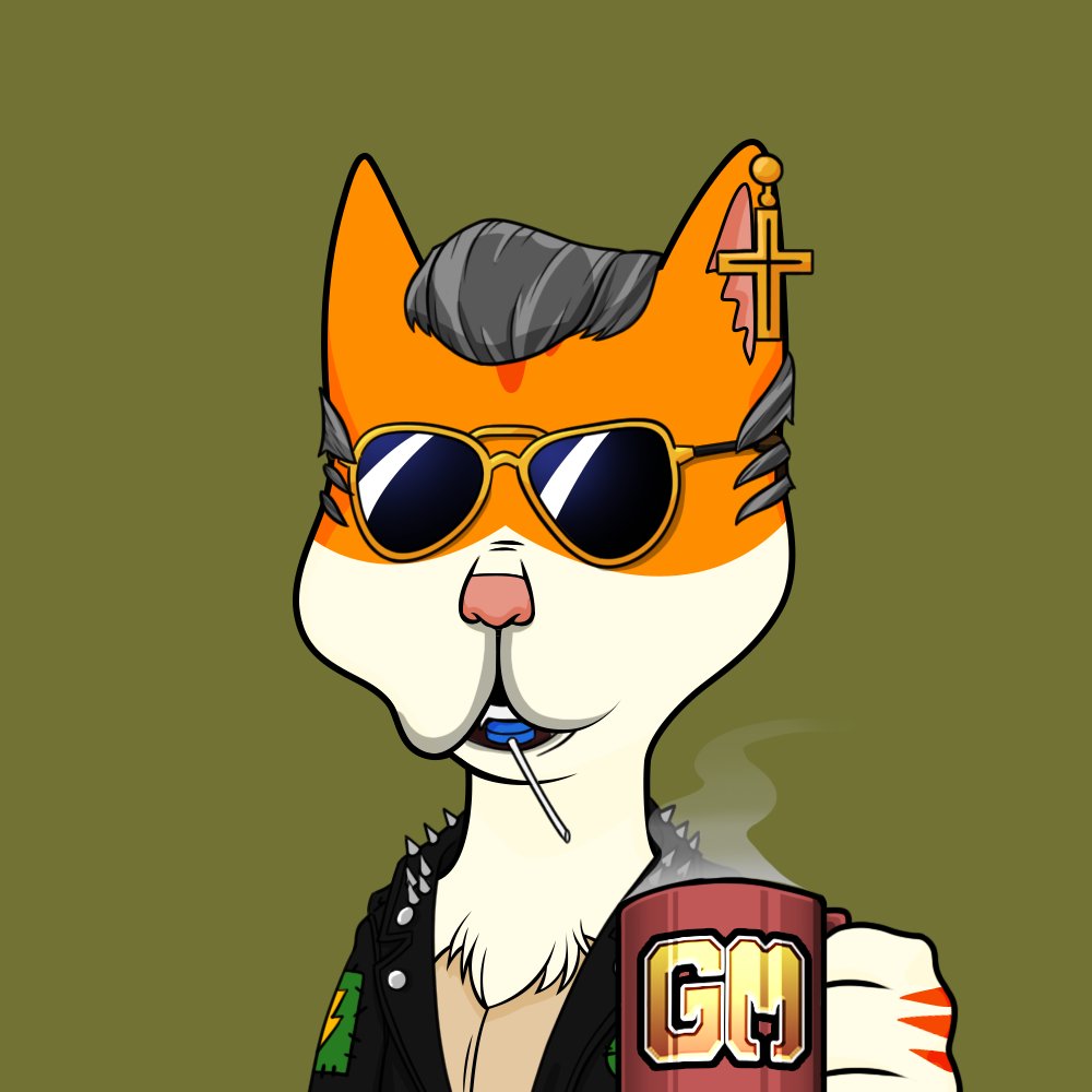 mjaeger79's tweet photo. Happy #Caturday to all #Cardano, #Crypto, #BTC and especially @BossCatRC !! 💪🐈  Have a great day and make great memories 👊
#BCRC #BossCats4Life https://t.co/5EKdZNfHIL