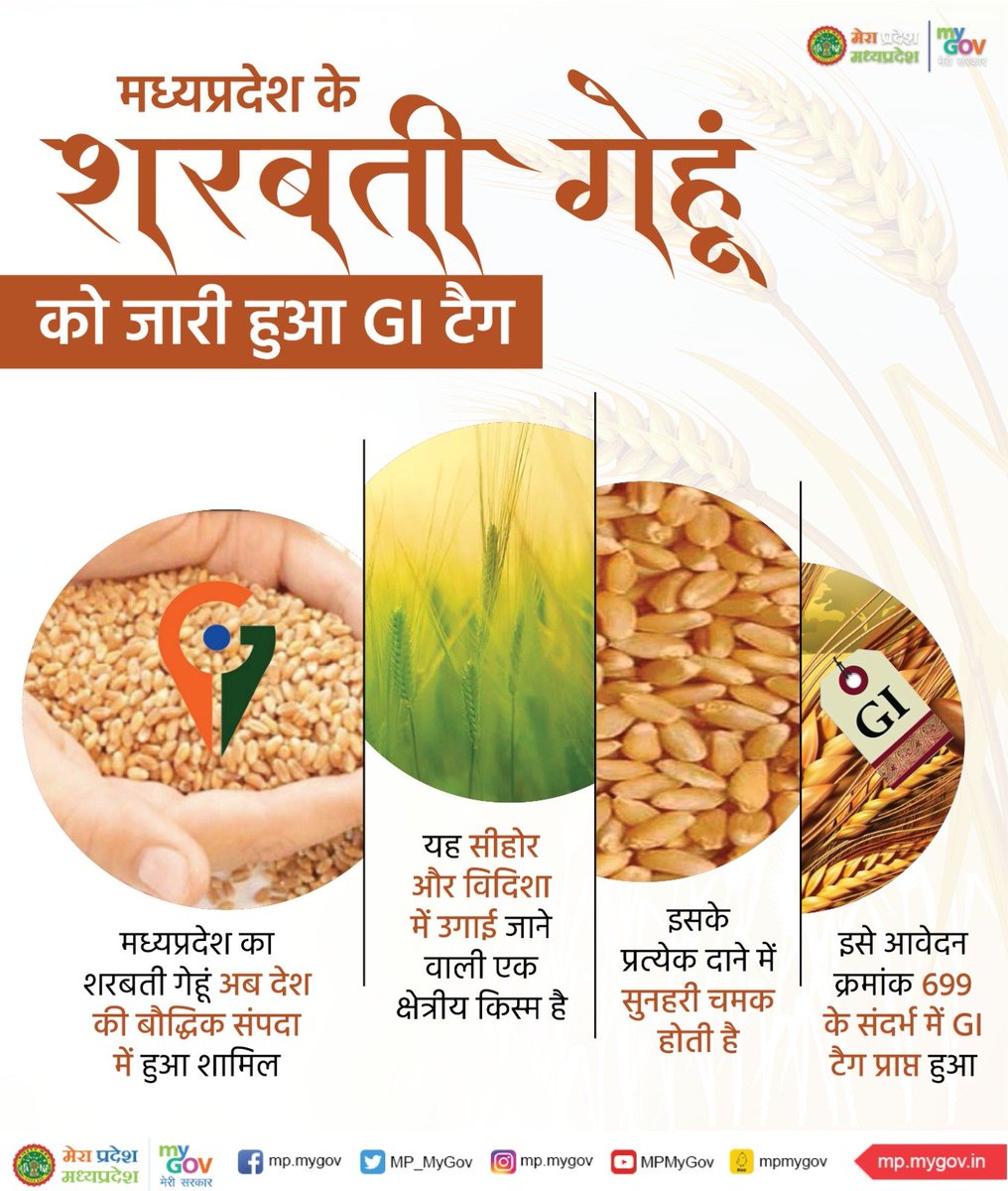 MP_MyGov's tweet photo. मध्यप्रदेश के शरबती गेहूं को जारी हुआ GI टैग
----
मध्यप्रदेश का शरबती गेहूं अब देश की बौद्धिक संपदा में हुआ शामिल
@MOFPI_GOI
@foodsuppliesmp
#GItag https://t.co/ChMHFPk38q