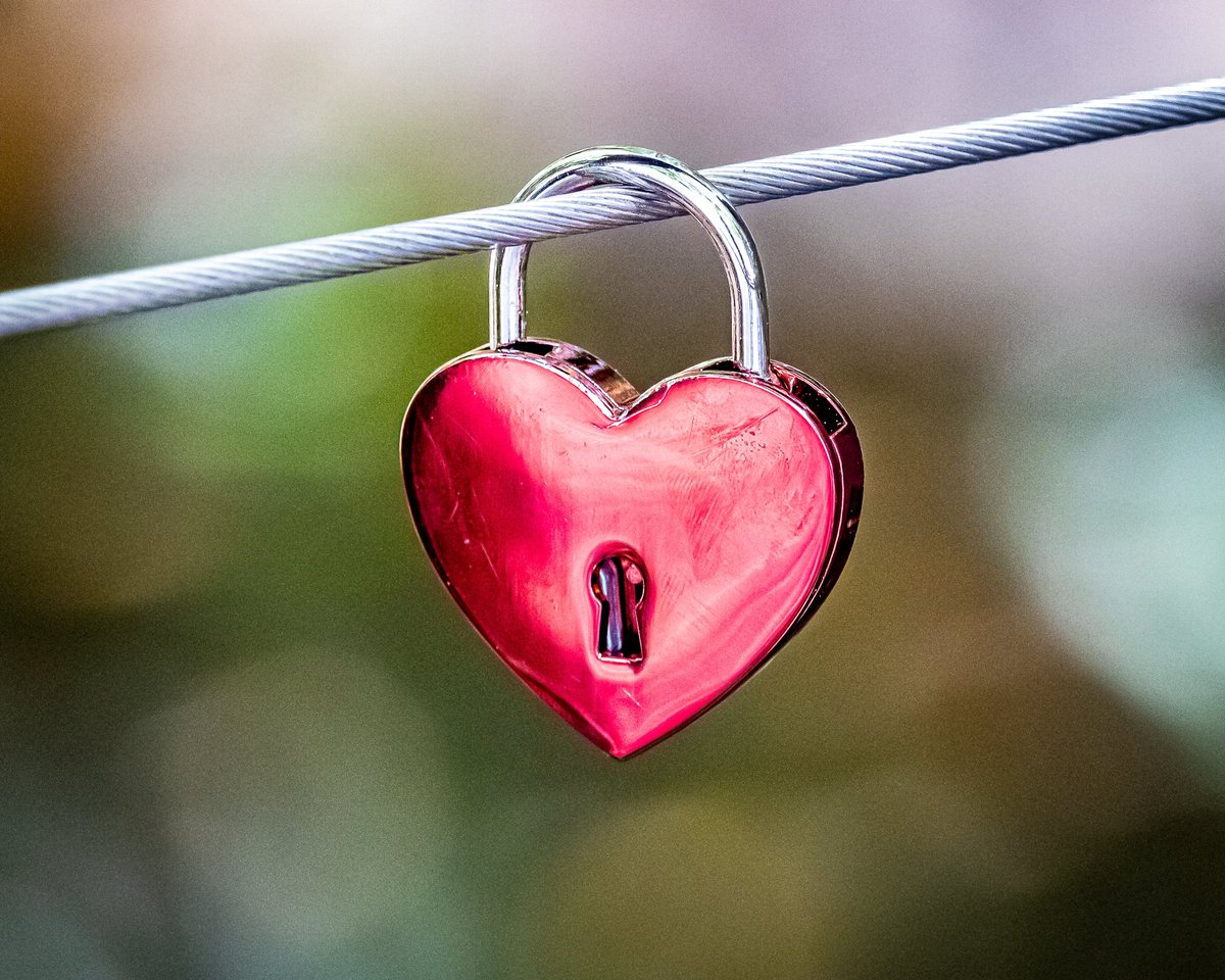Hawk8509's tweet photo. โLove Lockedโ
.
#opticalwander #visitbrisbane #justshootqld #discoverbrisbane #brisbane #brisbanecity #mybrisbane #gw_australia #gwaustralia #unsquares #edpscameraclub #igersbrisbane #igersaustralia #aussiephotos #raw_community #creativityiscalling #exquisitepics20_australia https://t.co/M3mGwWSupd
