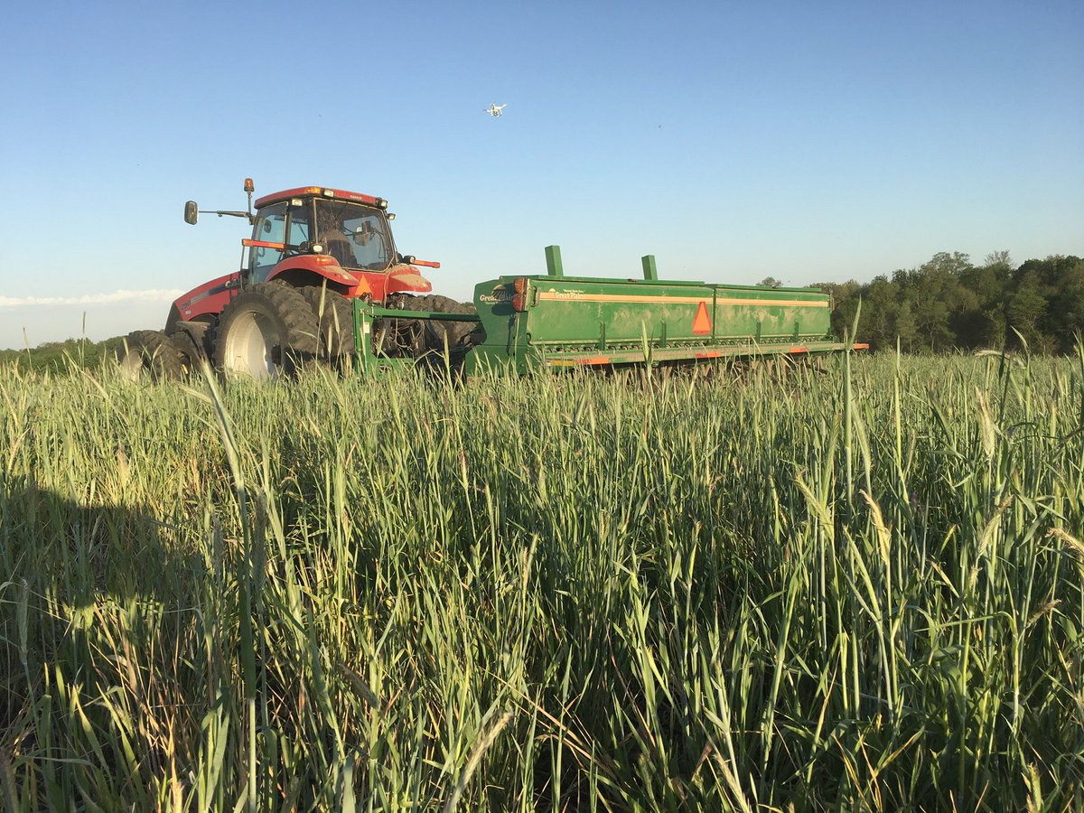 Throwback to planting #Soybeans into big ole #CerealRye #CoverCrop! Looks like we will get some beans in the ground soon for #Plant23 but will be extra patient with cover crop termination! If we plant any beans next week we will still wait until the rye matures to terminate 🌱🌱