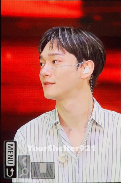 YourShelter921 tweet picture