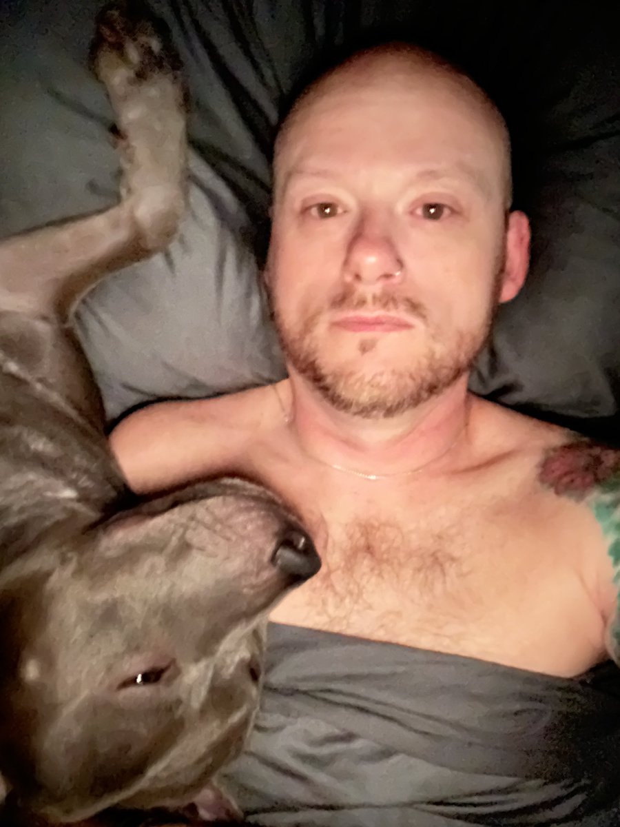Good morning my love. #pitbull #pitbulladvocate #pitbullsoftwitter #dogtwitter #adoptdontshop