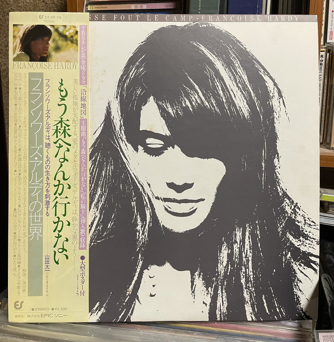 今夜は　#フランソワーズアルディ 
#もう森へなんか行かない
 #francoisehardy #majeunessefoutlecamp #vinyl #vinylrecords #pops #アナログレコード #レコード #音楽好きさんと繋がりたい