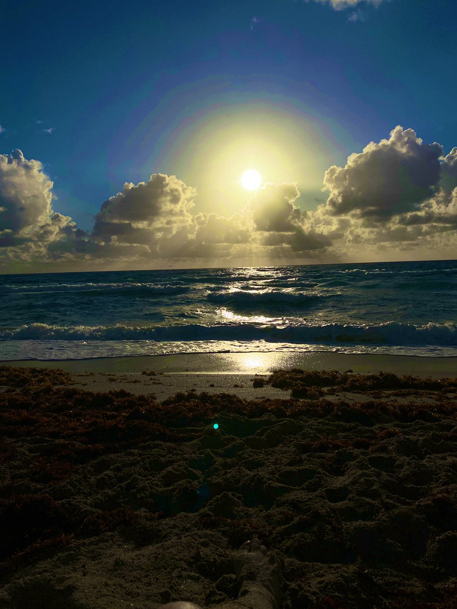 karena731's tweet image. One of the people who inspire me the most is @AngelaBrentHar1 I could have slept in, I could have listened to my internal negativity and not but on a bathing suit, I could have succumbed to the snooze, but then I wouldn’t have done this. #selfcare #DoItScared #anxiety