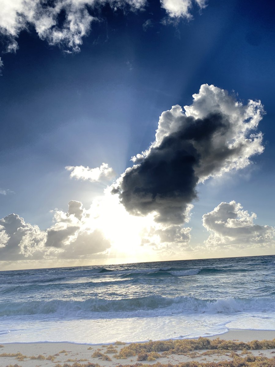 karena731's tweet image. One of the people who inspire me the most is @AngelaBrentHar1 I could have slept in, I could have listened to my internal negativity and not but on a bathing suit, I could have succumbed to the snooze, but then I wouldn’t have done this. #selfcare #DoItScared #anxiety