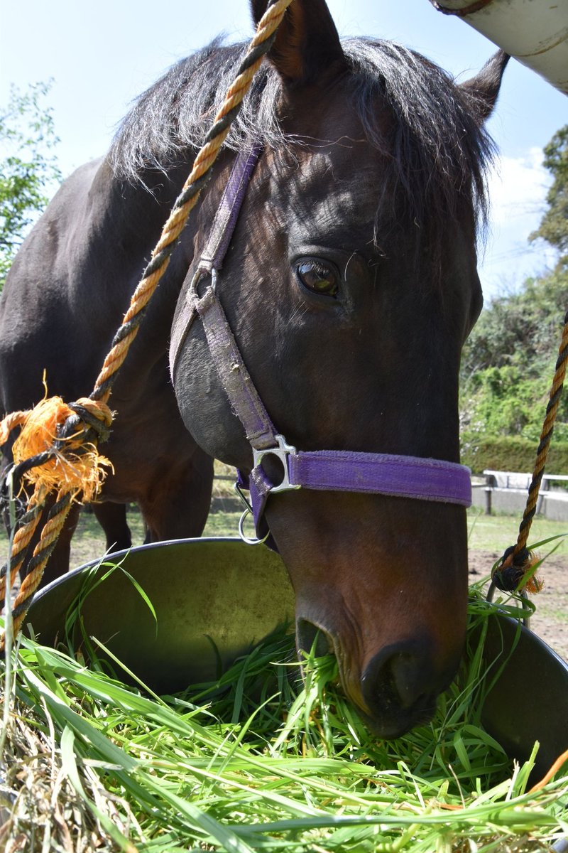 yousuke (@nsw0hqOoZI41867) / Posts / X