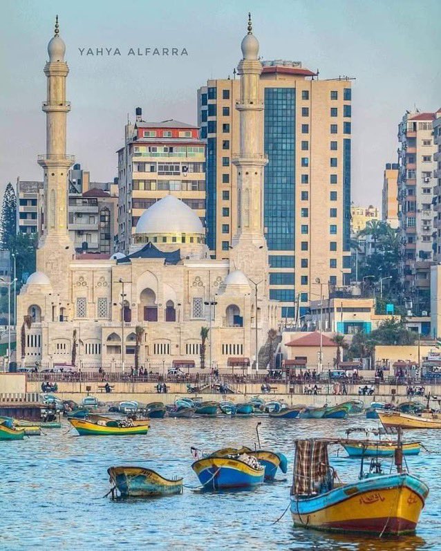 KingFlippaAK's tweet image. 💪🏼🇸🇩👑👍🫵🏽#FreeHumans