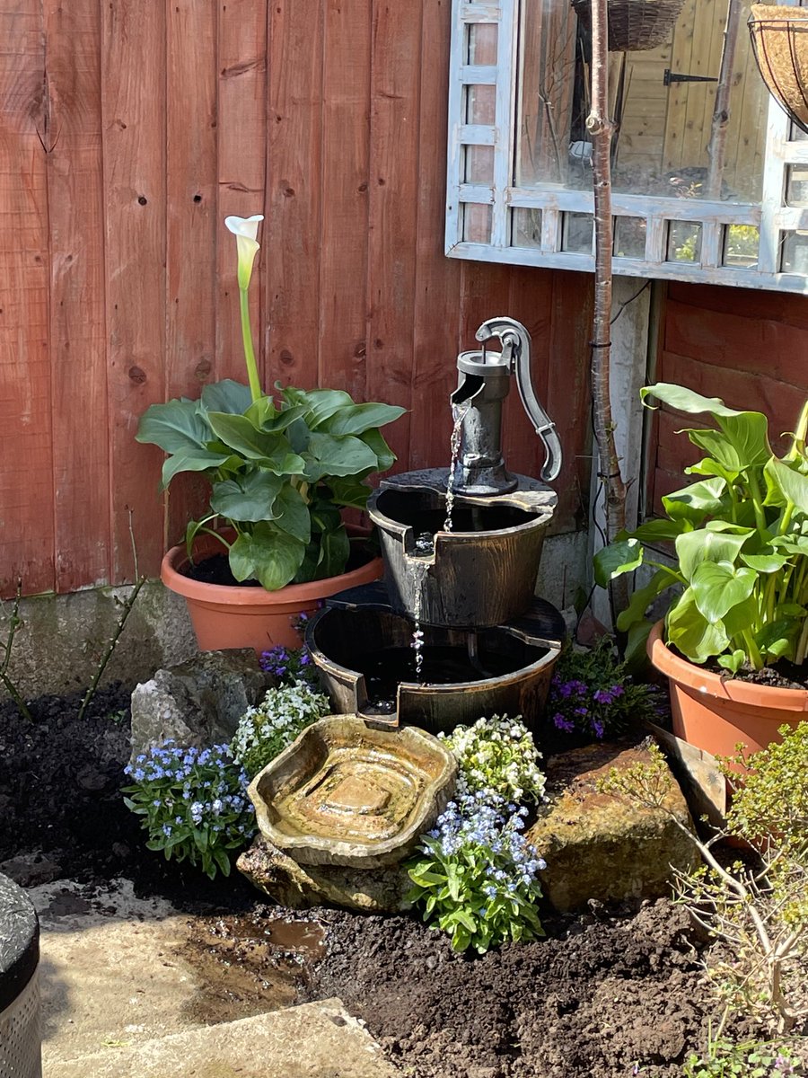 ChangingLifeNow's tweet photo. First water feature/rockery built. https://t.co/SA2l7RbXhe