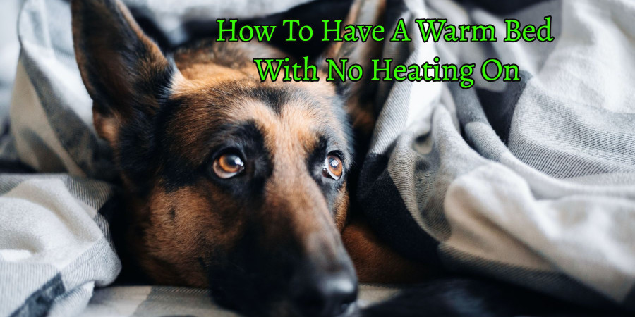 furniturefashion.com/how-to-have-a-… #heatingcosts
#Bills #heating
#staywarm