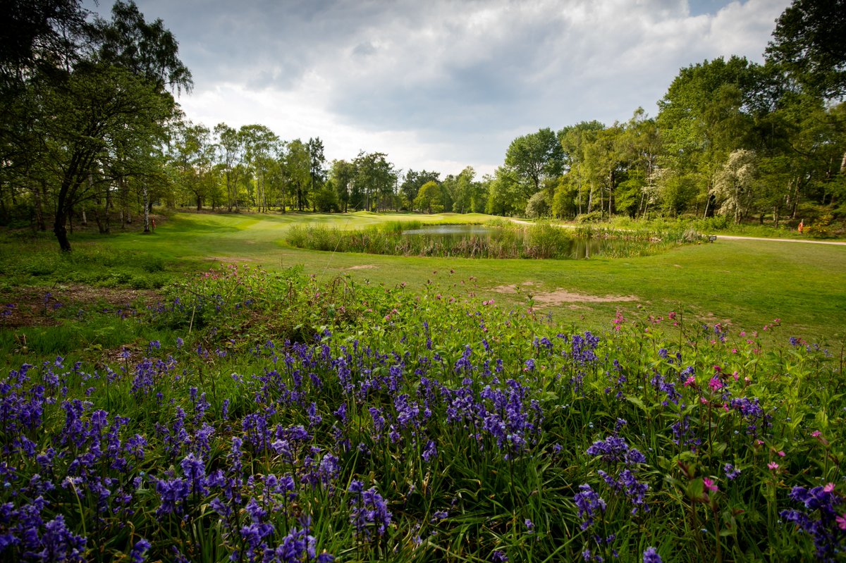 EnglandGolf's tweet photo. 😍 Exceptional Enville! 😍

One of the finest 36-hole venues in the country, @EnvilleGolf plays host to his year's Logan Trophy presented by @VirginWines! ⛳

Enter here: https://t.co/q4gi6QXZSX

🇺🇦 #EGStandswithUkraine 🇺🇦 https://t.co/u9eNkZEoaA