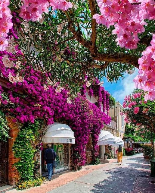 Capri, Italy   .•°`📷`°•.📷.•°`📷`°•.📷.•°`📷`°•