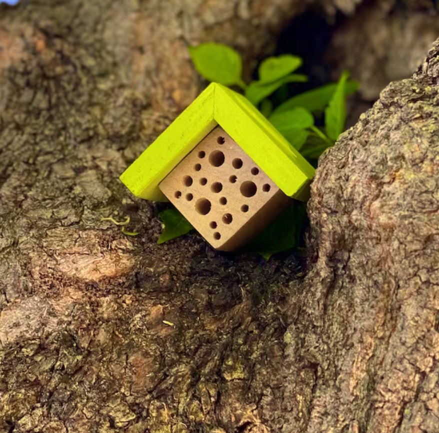 My collection of #insect/#bee hotels is ready for spring installation around #Harvard and #HMS campus! Now…the real problem is getting them high enough on the trees, lol, given my shortcomings in the height dept.  #nativepollinators