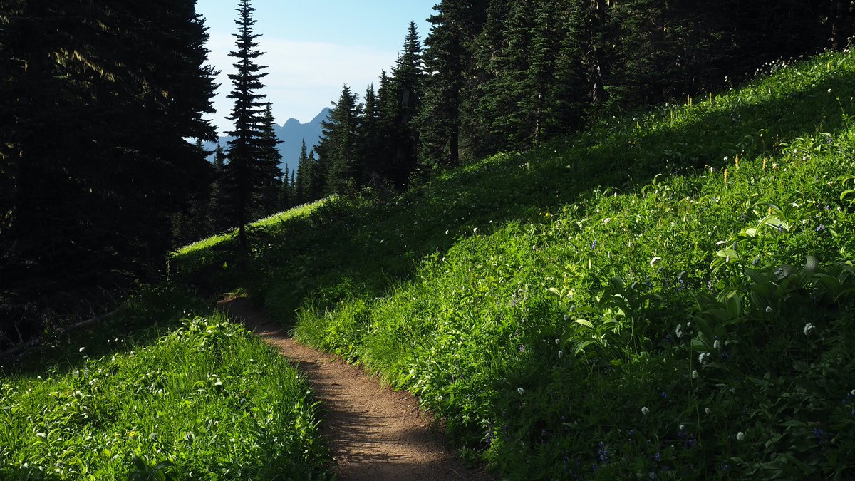 There's no better way to clear your mind than to hit the trails and leave your worries behind! 📷📷 #Mindfulness #HikingTherapy #NatureHeals #thegreatoutdoors