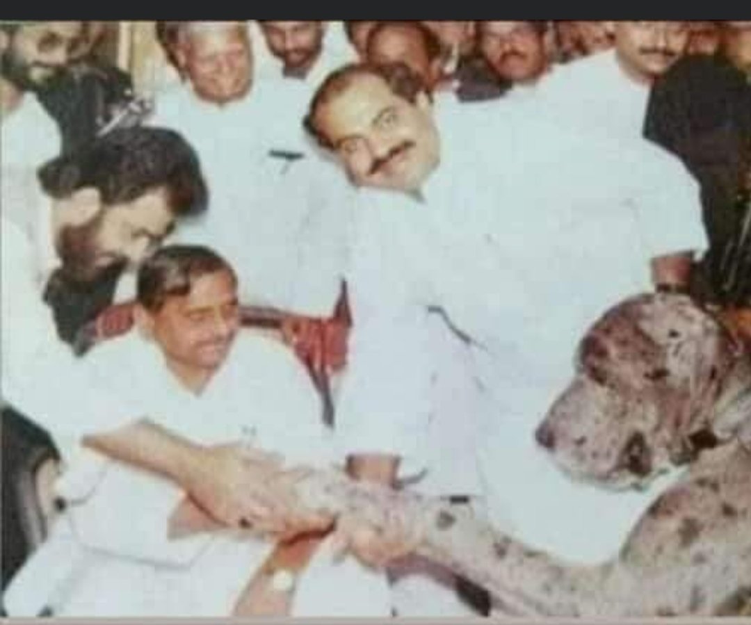 TiwariSabita1's tweet photo. एक वो समय था जब मुलायम सिंह यादव 
अतीक अहमद के कुत्ते से हाथ मिलाते थे।
एक आज का समय है ,जब उसी कुत्ते का मालिक "कुत्ते" से बत्तर जिंदगी जीने के लिए मजबूर है ।
यही है एक सन्यासी का न्याय ...... https://t.co/4c12vBfgjL