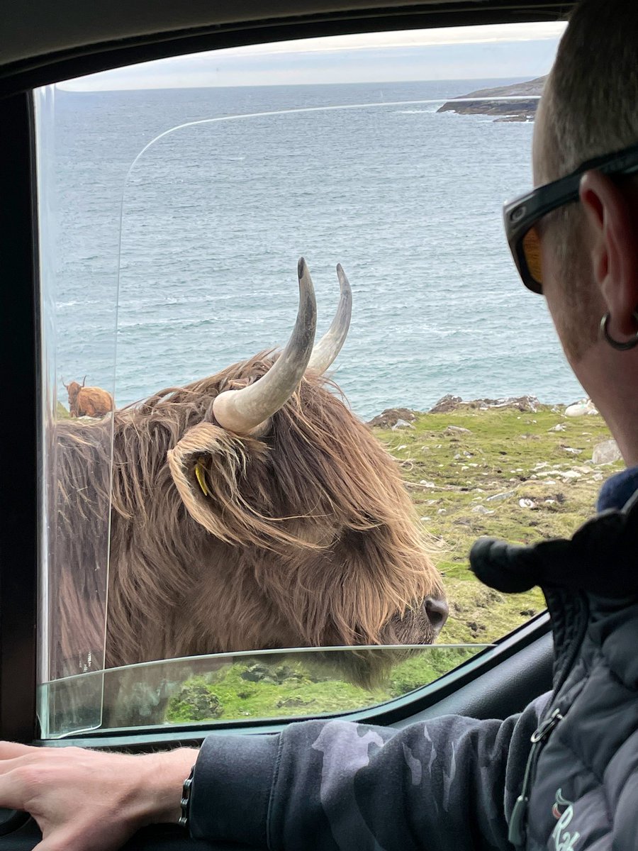 . @DrBenAllen encountering a very different sort of traffic today #Huisinis #NorthHarris