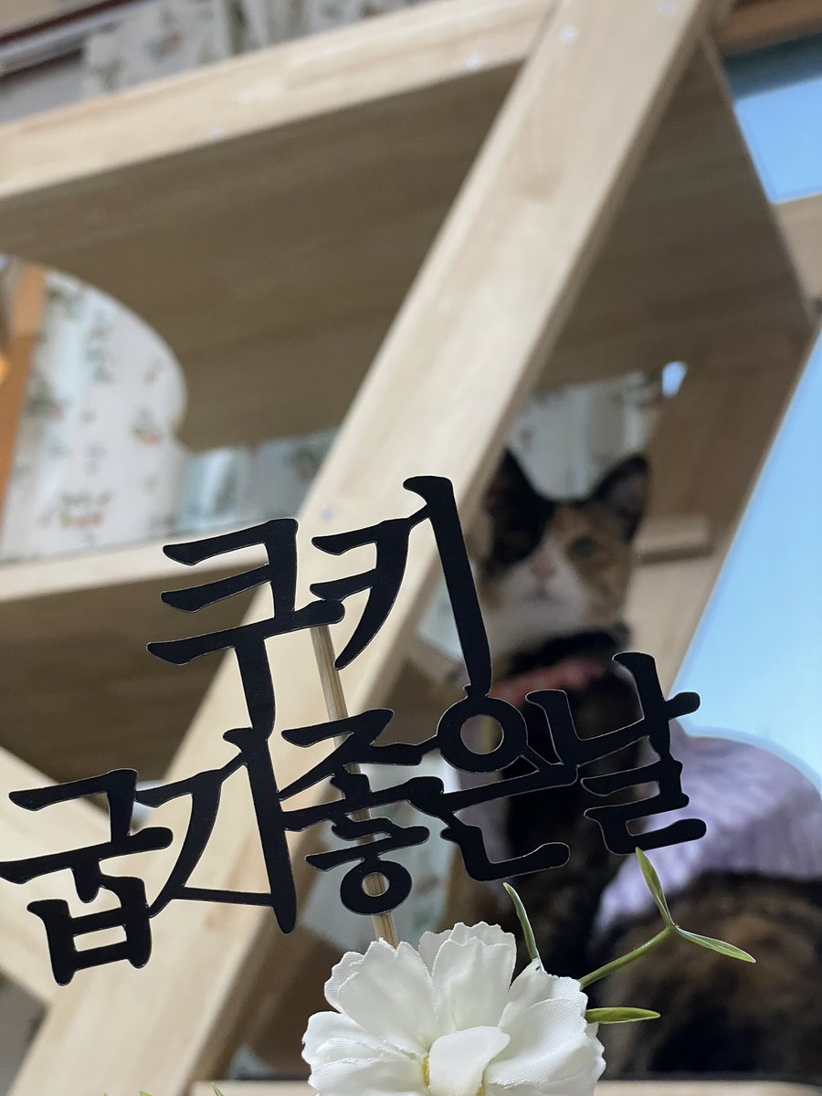 _dontbiteme_'s tweet image. 아기공주 4살 생일