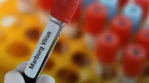 g2dubai's tweet photo. Emirates - Marburg virus alert for passengers to Oman
https://t.co/kiHaKRwJIY

@emirates #MarburgVirus @OmaniMOH  #Travel #FLIGHT https://t.co/bmgZVa7kUP