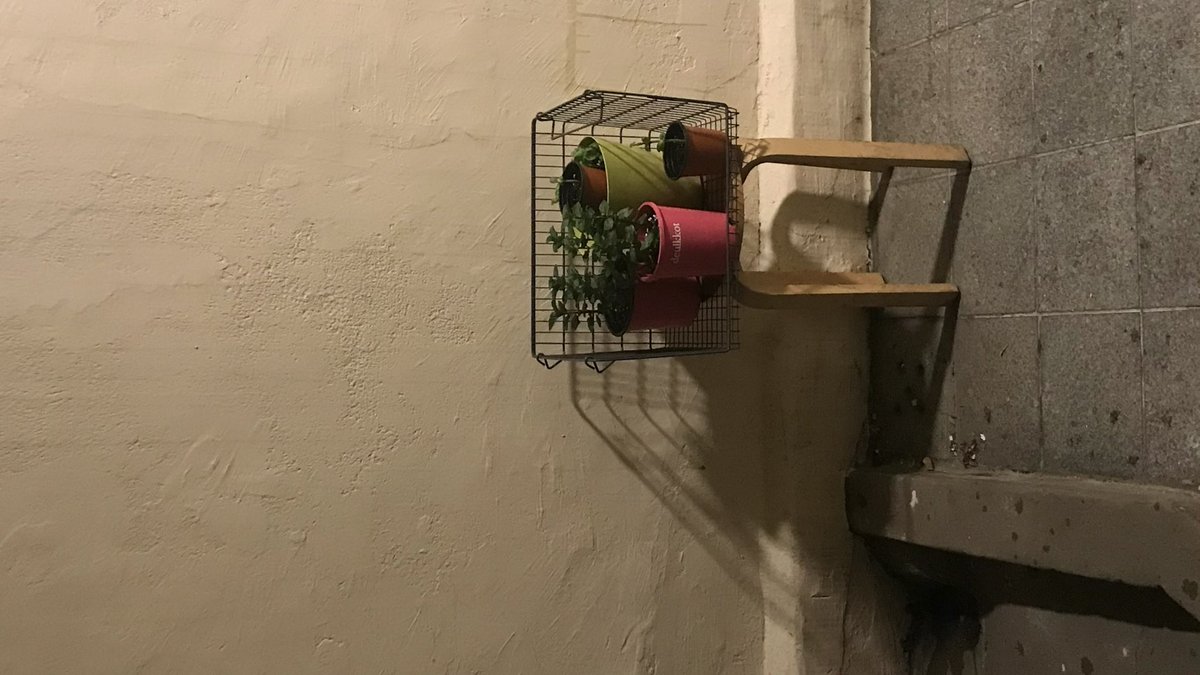 행주~
(행복한 주말 .•✭)