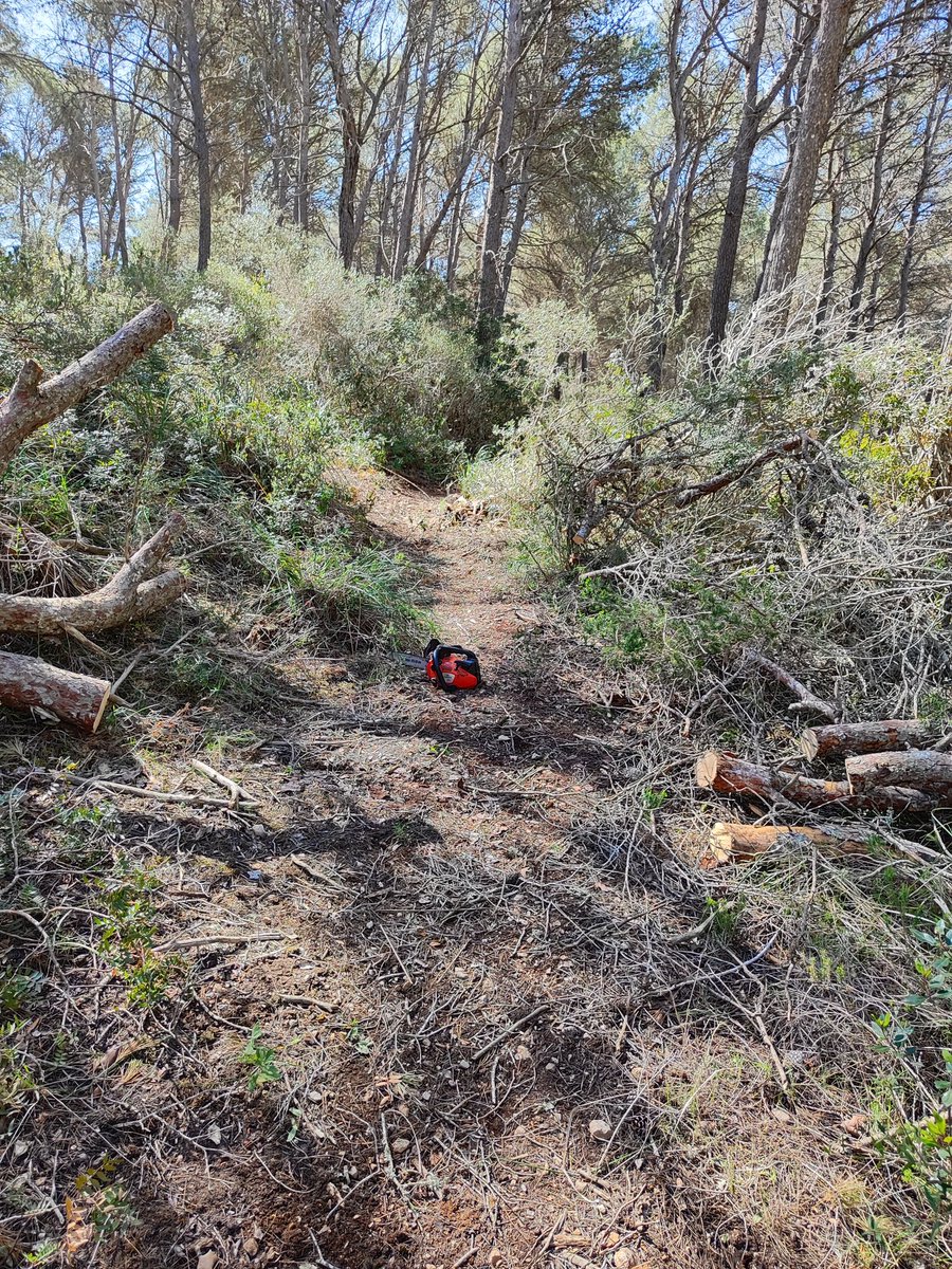 MallorcaNon's tweet photo. Neteja i recuperació d'un camí de comunicació de domini públic que fa uns 90 anys es va deixar perdre.
#SA200
#NonStopMallorca https://t.co/dauWHznzgy