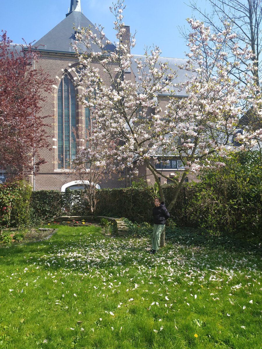 loesism's tweet photo. Gisteren herdenking van overleden @HerbergBreda bezoeker Tomasz, vandaag weer een vol Annahuis tijdens de Paaslunch. Maar dit meisje maalt altijd alles goed. 🙏🏽❤🕯
#annakerk #dakloos https://t.co/JVg64VvVxA