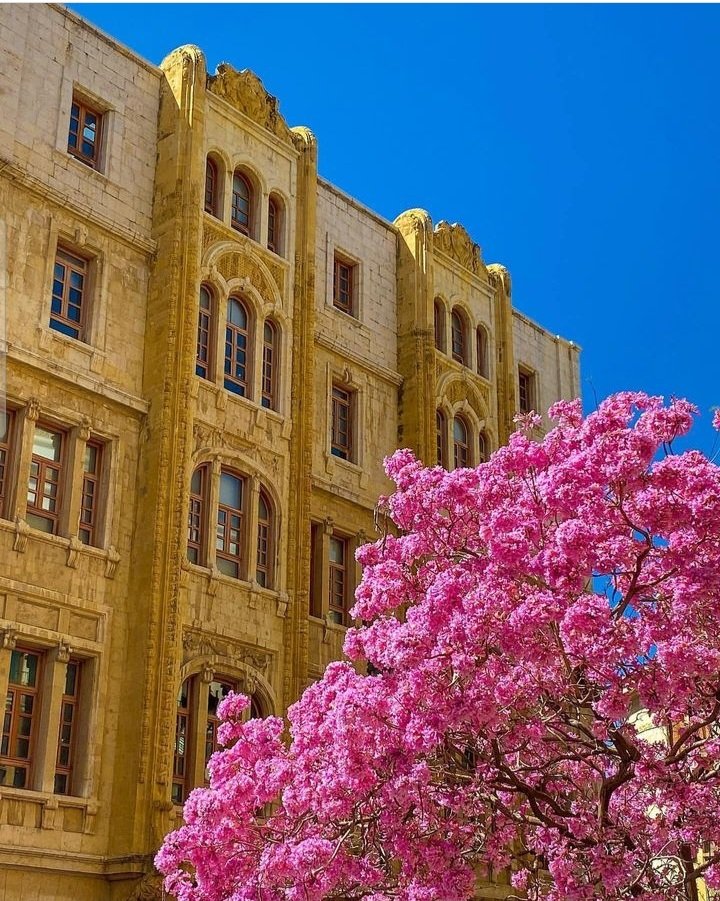 aidadagherlb's tweet photo. Springtime Blossom in Beirut🌸🇱🇧🌻💙
#YUCHUN #YUCHUN_SIGNAL #Guardians_of_YU #alwayswithYU https://t.co/O1mckJ6eom