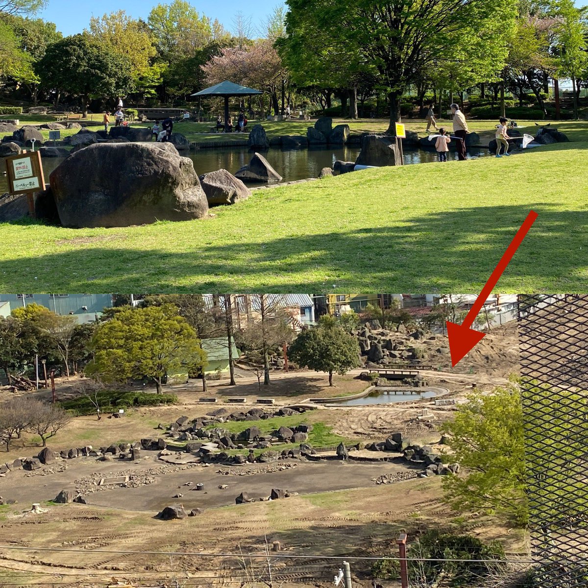 pie76826111's tweet photo. @1wyv6K 尼崎市の小���南公園は開園から40年経ち緑豊かで多くの人が訪れていた公園ですが役所は、老朽化にともない再整備が必要��1000本樹木伐採し阪神タイガース二軍施設にします。これが再整備か？公園はできた時が完成ではない。https://t.co/J908OdmLE7 https://t.co/A4Wv31wzEZ