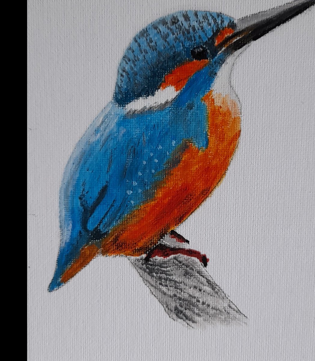 Jabquick's tweet photo. My first bird painting, KingFisher in oil. https://t.co/c9qdVd7OtS