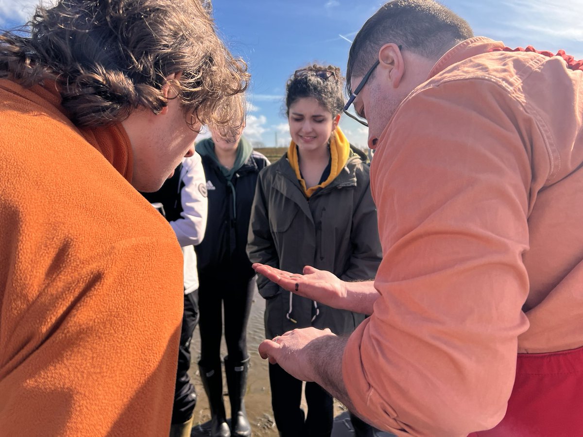 mcdaid_alix's tweet photo. Day 2 of the #BioDiv23 field course in sunny Newcastle! Undergraduates comparing limpet size at exposed and sheltered sites, and looking at the biodiversity at each! https://t.co/NYOfxKYSJY