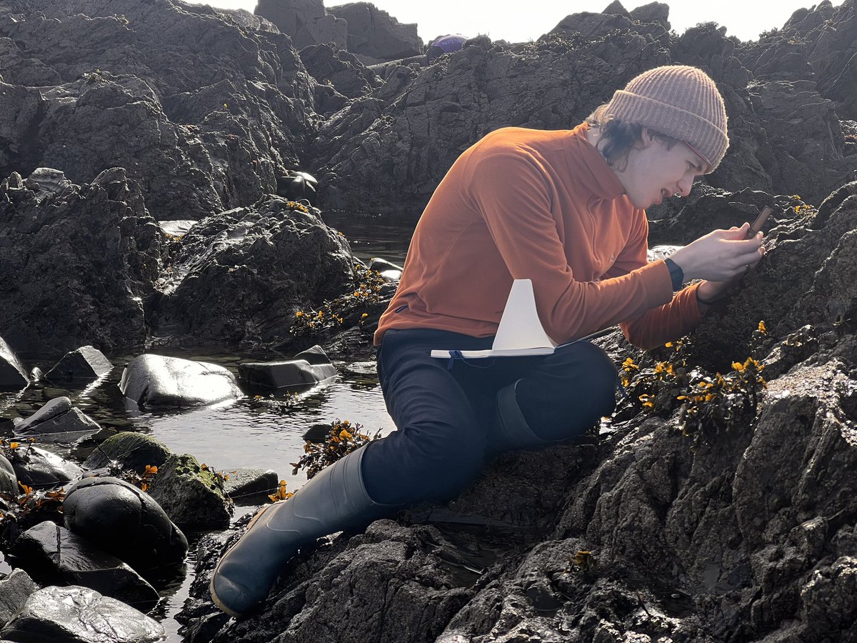 mcdaid_alix's tweet photo. Day 2 of the #BioDiv23 field course in sunny Newcastle! Undergraduates comparing limpet size at exposed and sheltered sites, and looking at the biodiversity at each! https://t.co/NYOfxKYSJY