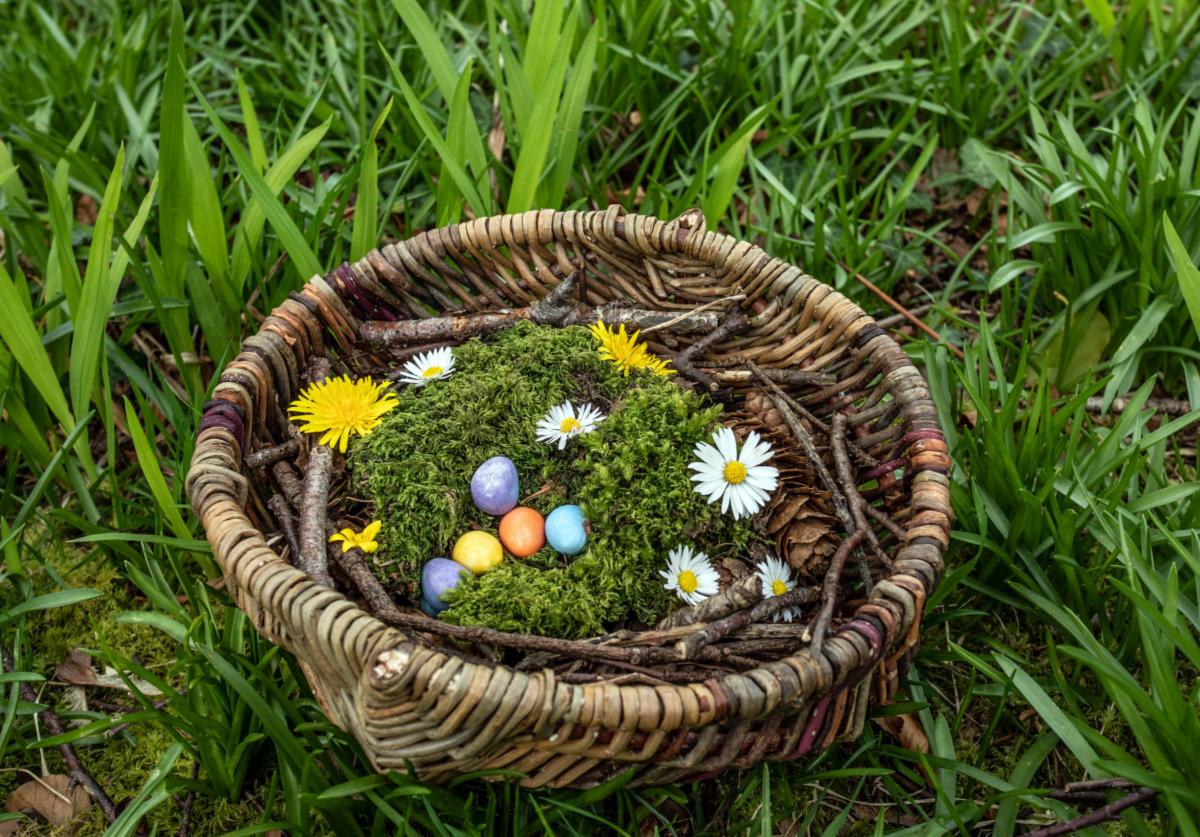 Trigonos3's tweet photo. Happy Easter Everyone! Pasg Hapus i Bawb!

Welcome to Trigonos in the Spring! Croeso i Trigonos yn y Gwanwyn!

https://t.co/7gch7YAVNu https://t.co/HX1xnnxUNw