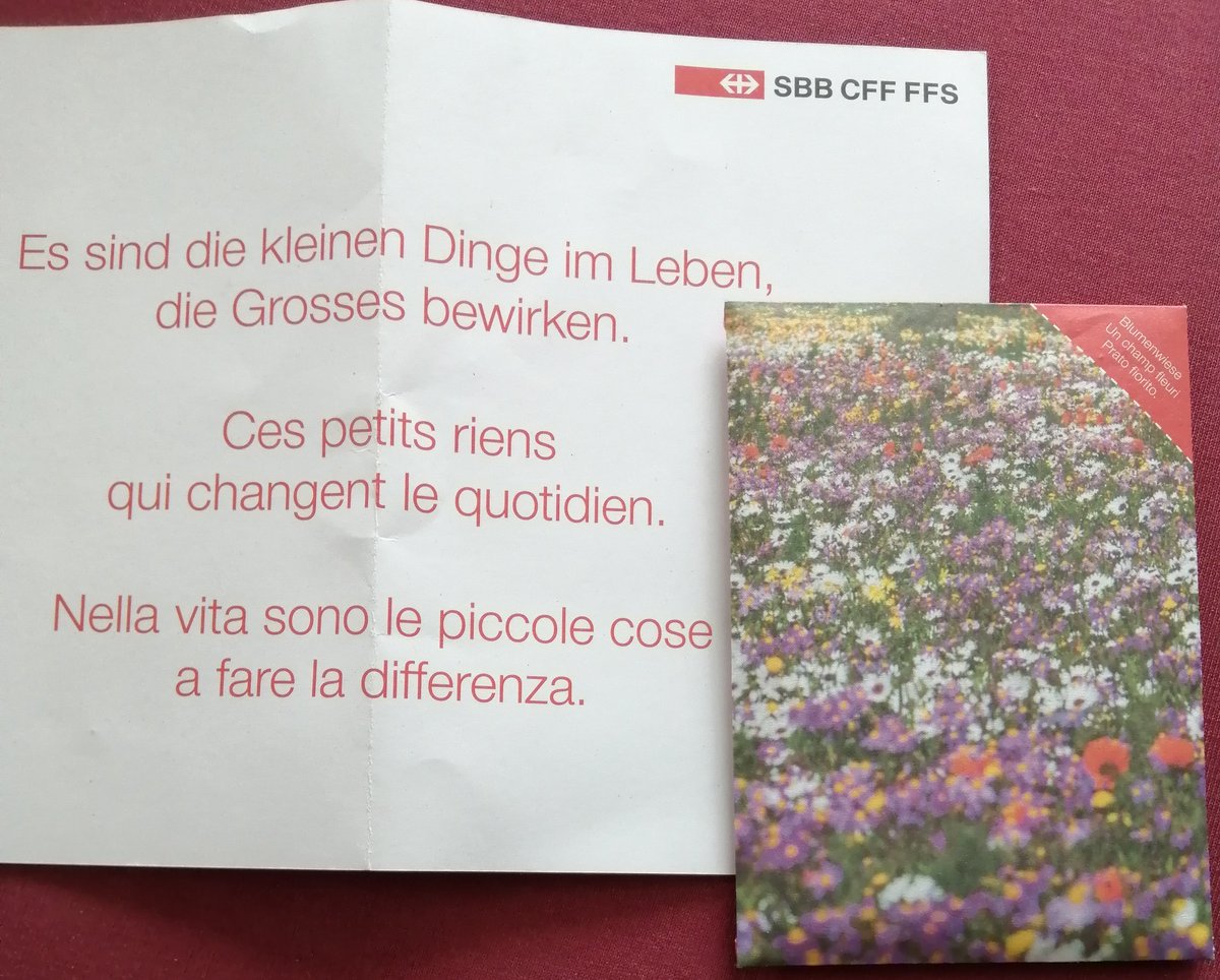 Merci #SBB 💐
#Biodiversität #Blumenwiese #Frühlingsgefühle