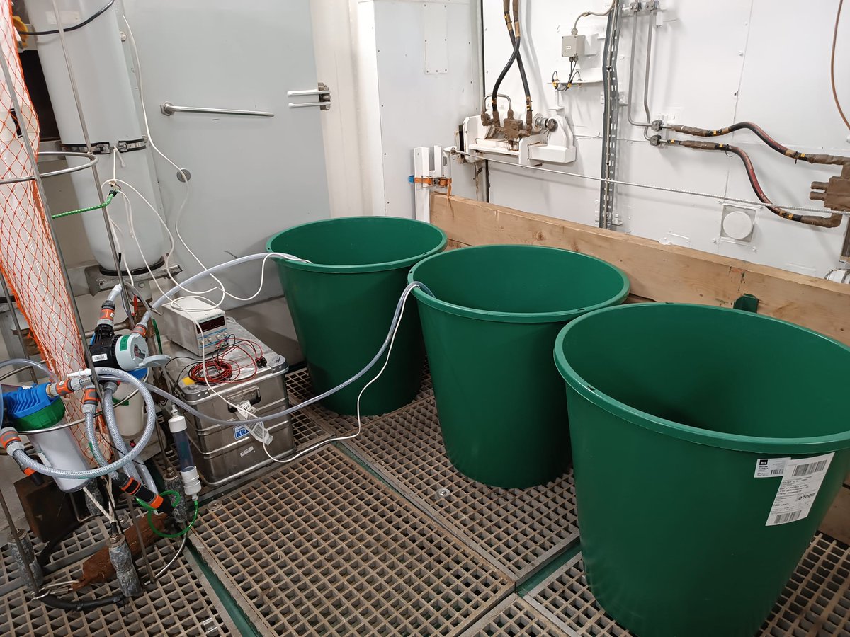 ArcticSgd's tweet photo. Preparation for Ra and Rn sampling
Fot. Beata Szymczycha
 #EEANorwayGrants #ncn #sgd #ArcticSGD #cruise #IOPAN #arctic #submarinegroundwaterdischarge #climatechange #ocean #Biogeochemistry #MarineBiology https://t.co/ZPXE1gGTs1